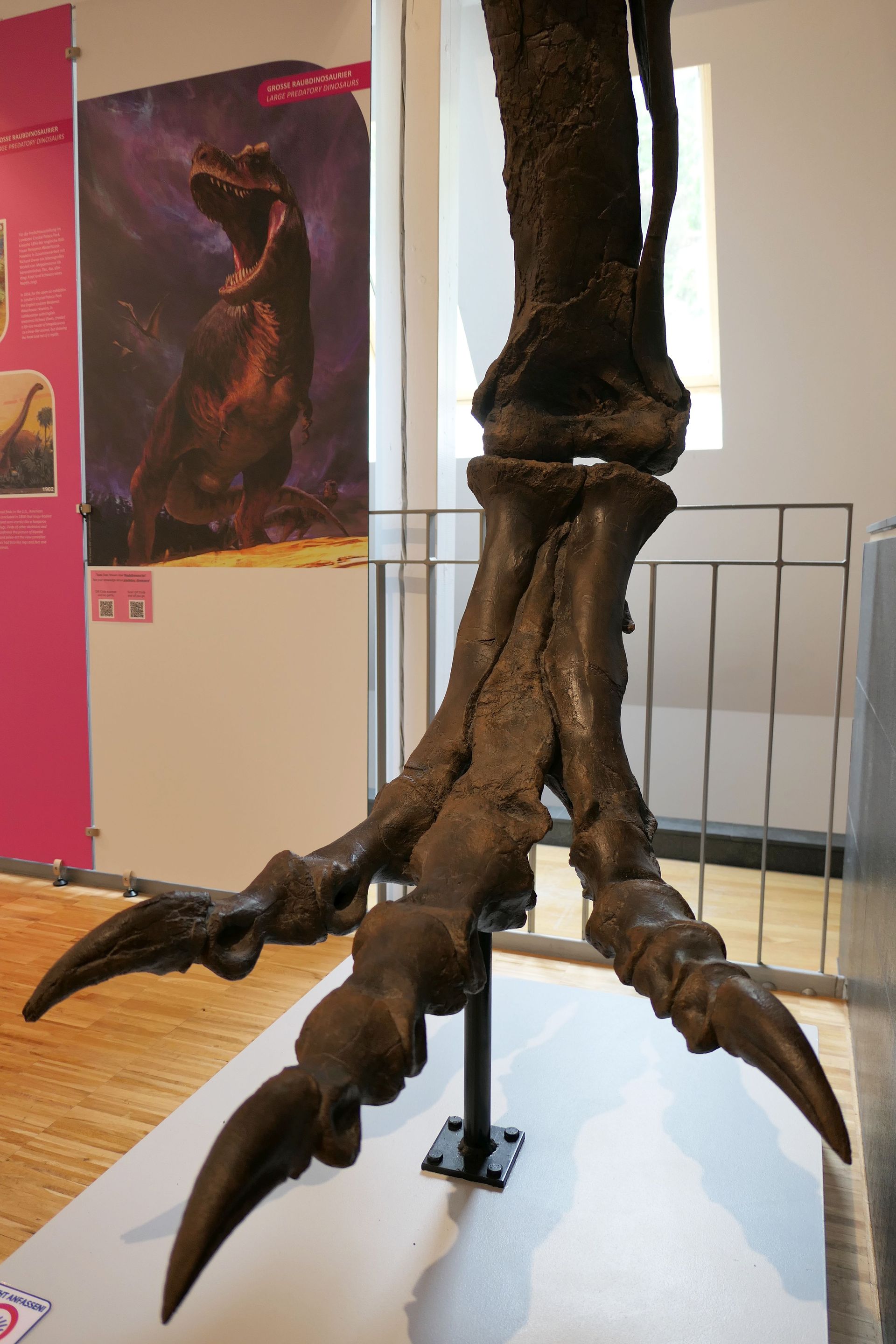 Pfalzmuseum für Naturkunde Bad Dürkheim online